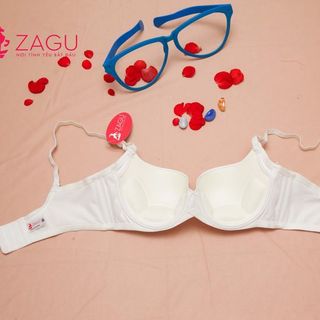 Áo ngực ZG - 3102 set 4 cái