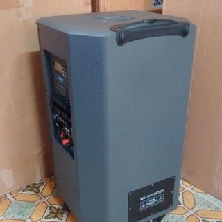 Loa Kéo HOSAN DX113 Bass 35 tấc CÓ BH