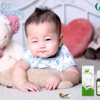 tinh dầu oải hương