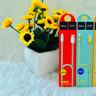 Cáp sạc Hoco 2m cho Iphone