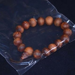 Hoàng đàn tuyết 12 ly