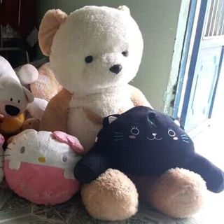 Gấu 2hand