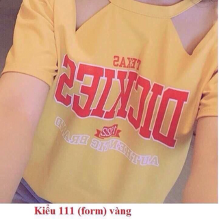 áo thun kiểu