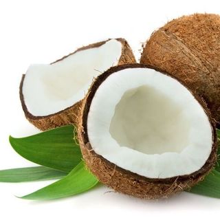 dừa sáp