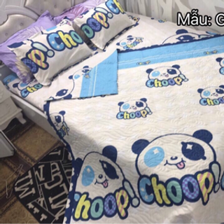 Bộ chăn trần cotton polly