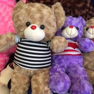 Teddy nhí khổ 60cmx40cm giá sỉ