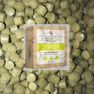 Viên uống thảo mộc GIẢM CÂN Slimming Plus - Liệu trình 14 ngày