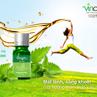 Tinh dầu bạc hà giá sỉ