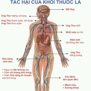 cai thuốc lá thanh nghị
