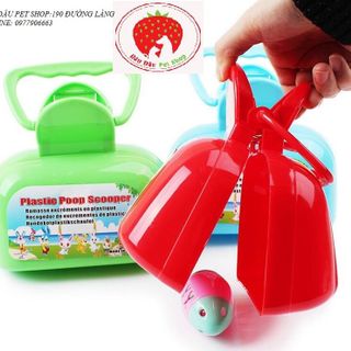 HÓT PHÂN HÌNH HỘP CHÓ MÈO