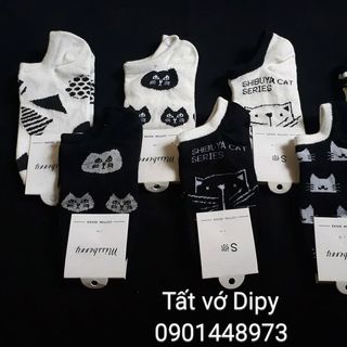 Tất mèo