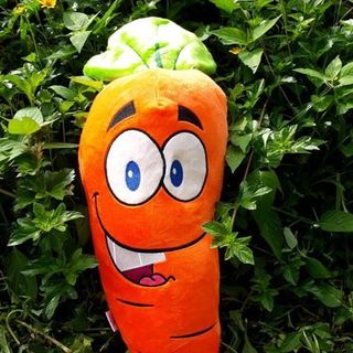 GỐI ÔM CAROT 60CM