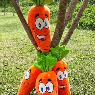 GỐI ÔM CAROT 60CM