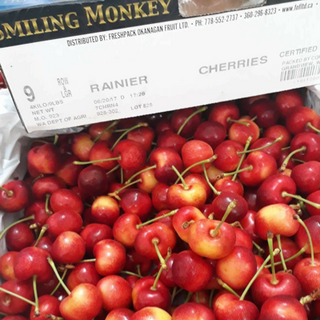 Cherry Canada