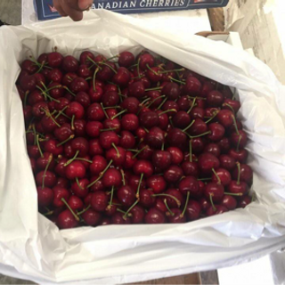 Cherry Canada