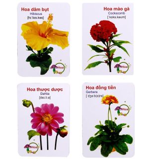 Thẻ học thông minh 16 chủ đề cho bé