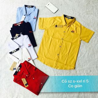 Sơ mi co giản size cồ ngắn tay giá sỉ