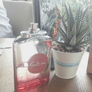 Nước hoa Sansiro Premium SeriesSultan