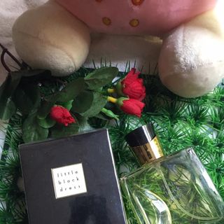 Nước hoa Little Black Dress nữ