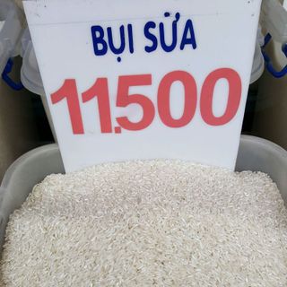 Gao bui sua