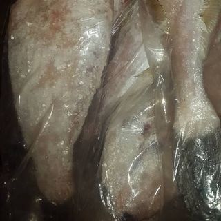 Cá bò da hàng cấp đông