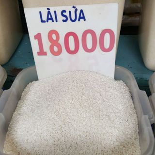 gao lai sua