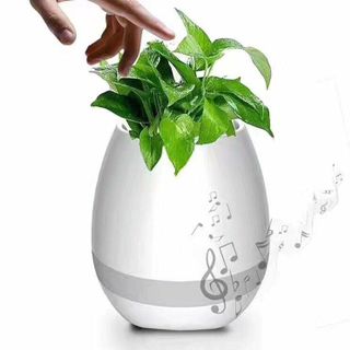 Loa blutooth chậu cây