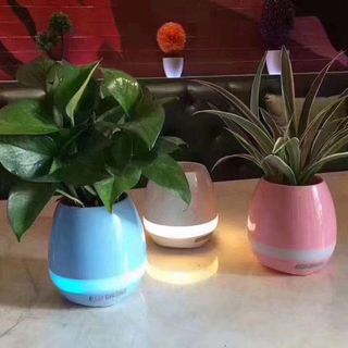 Loa blutooth chậu cây