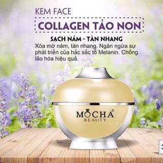 COLAGEN TẢO NON TRỊ NÁM MOCHA