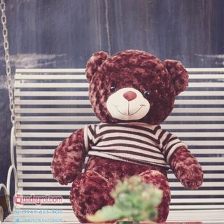 Gấu Teddy cao 1m4 khổ vải 1m6