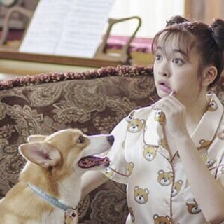 đồ bộ pizama đùi