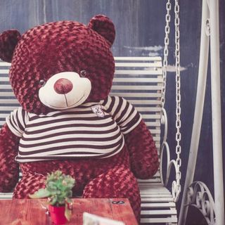 Gấu Teddy cao 1m6 khổ vải 1m8