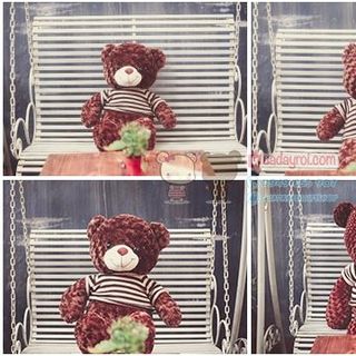 Gấu Teddy cao 1m6 khổ vải 1m8