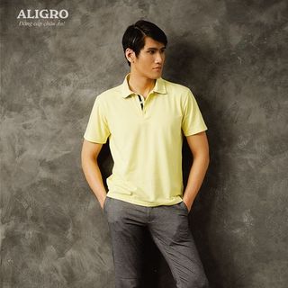 ÁO PHÔNG CỘC TAY ALOPLO16