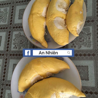 Sầu Riêng Tiền Giang