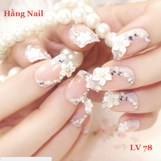 Nail giả đính hạt