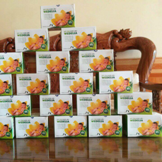 BỘT TẮM DƯỢC LIỆU WEDELIA 100 THIÊN NHIÊN