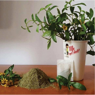 BỘT TẮM DƯỢC LIỆU WEDELIA 100 THIÊN NHIÊN
