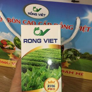 Phân sinh học Rồng Việt tăng năng suất cây trồng