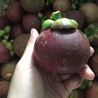 Măng cụt Long Khánh