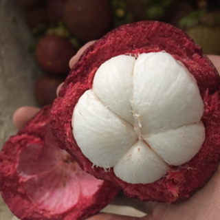 Măng cụt Long Khánh