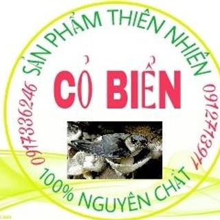 TỔ YẾN THÔ CỎ BIỂN