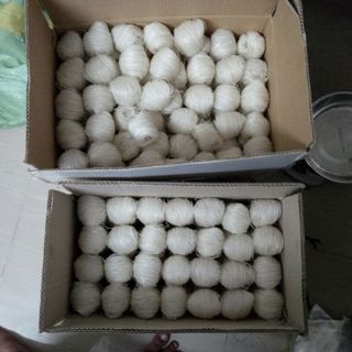 Hủ tiếu sadec