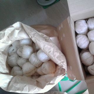 Hủ tiếu sadec