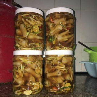 chân gả ngâm xả tắc