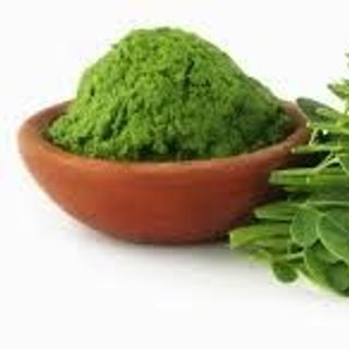 Hạt giống cây chùm ngây