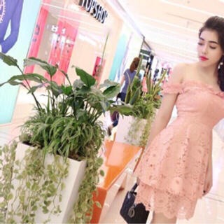 đầm ren si giá rẻ