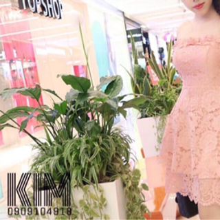 đầm ren si giá rẻ