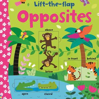 Bộ sách Lift the flap - Nxb Usborne
