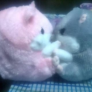 Chuột Nhồi Bông có mềm